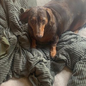 Meet your Posher, Lynn